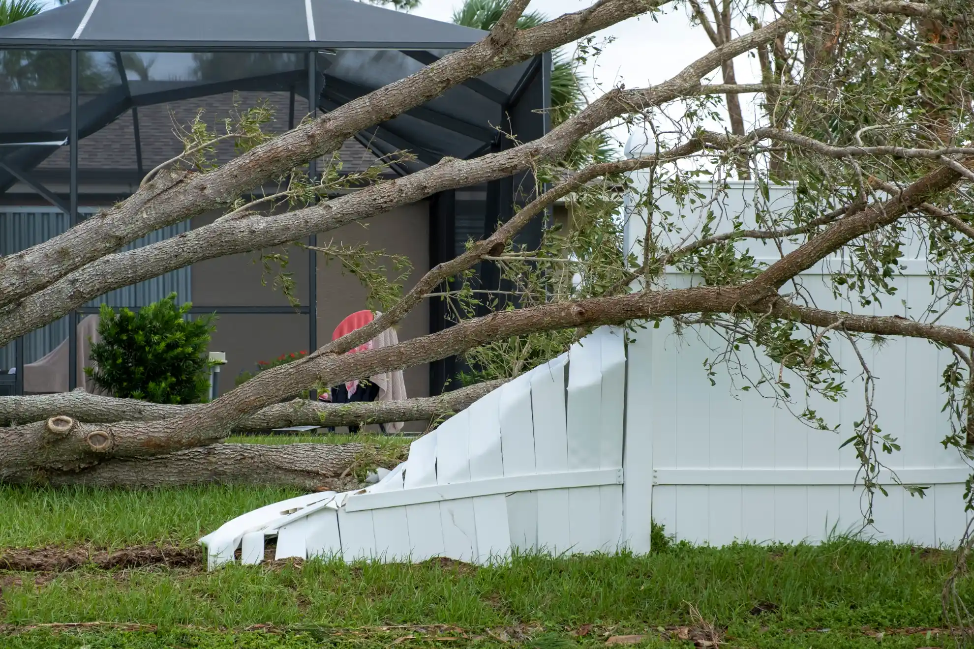 emergency tree services work in Guilford by Amorales Landscaping - photo 2