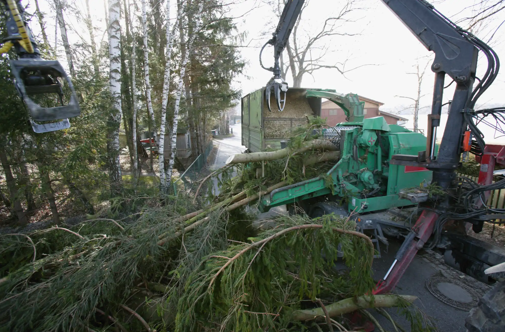 emergency tree services work in Guilford by Amorales Landscaping - photo 3