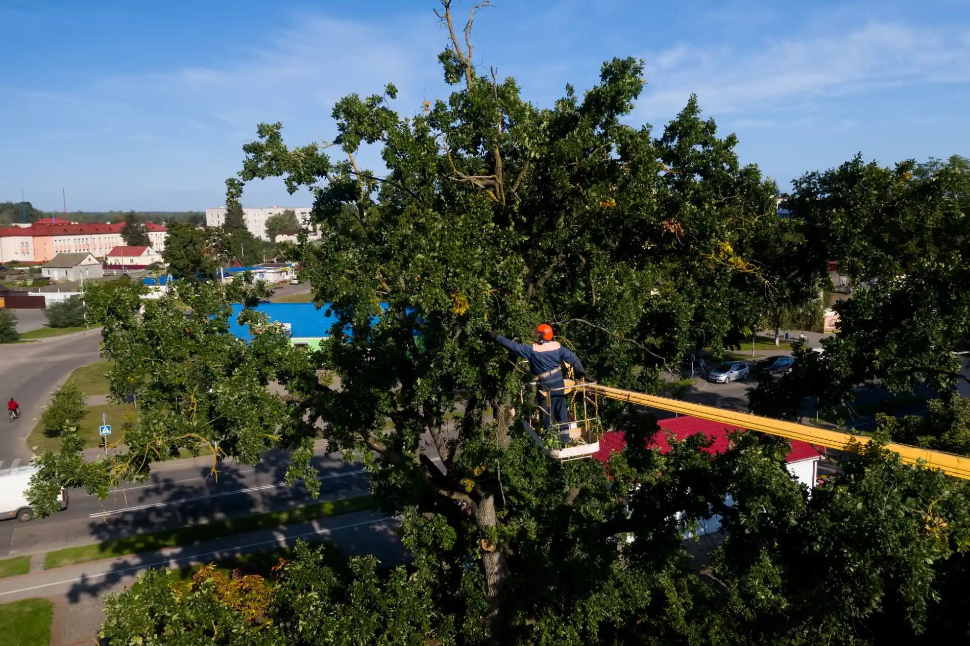 emergency tree services work in Guilford by Amorales Landscaping - photo 4