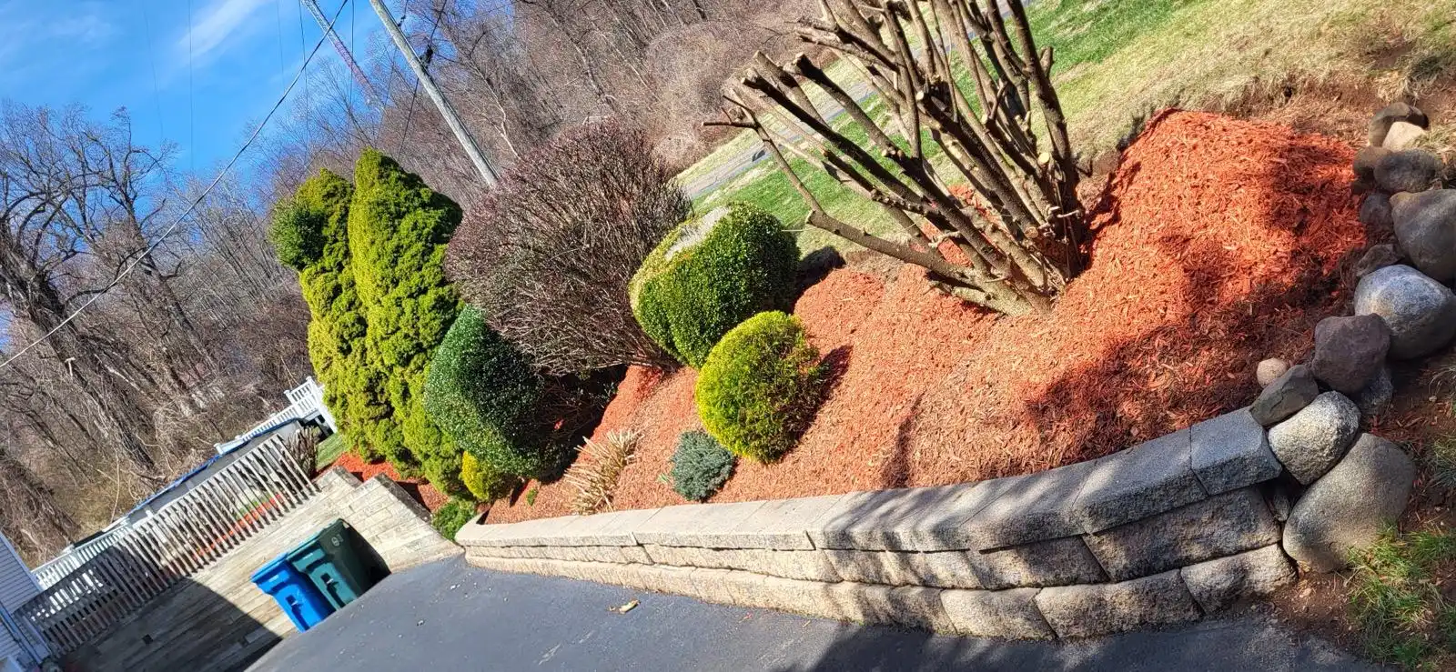 Armando Morales, owner of Amorales Landscaping Services in New Haven, CT