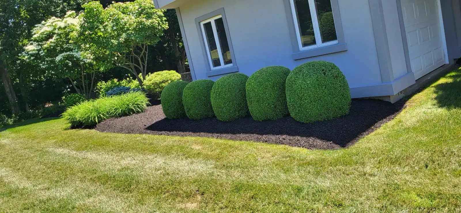 Landscaping and tree services in Guilford, Connecticut
